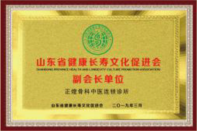 山東省健康長壽文化促進會副會長單位